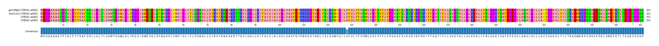 Multiple Alignments (by translate haplotype similarity)