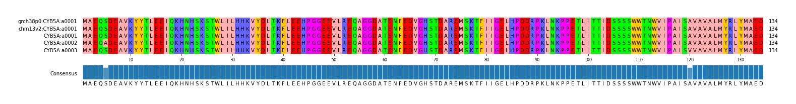 Multiple Alignments (by translate haplotype frequency)