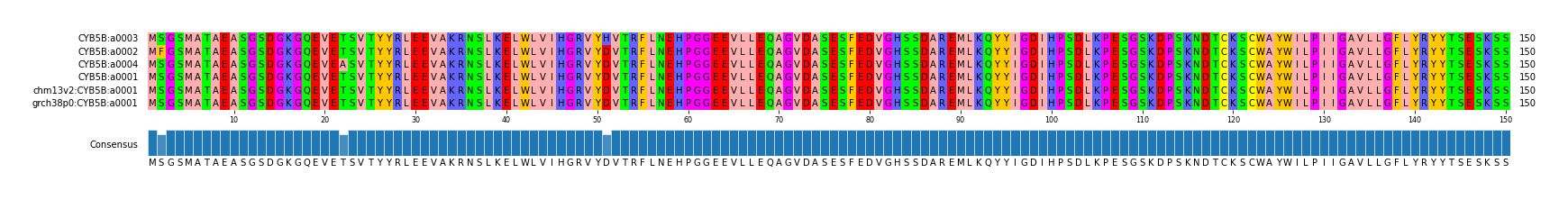 Multiple Alignments (by translate haplotype similarity)