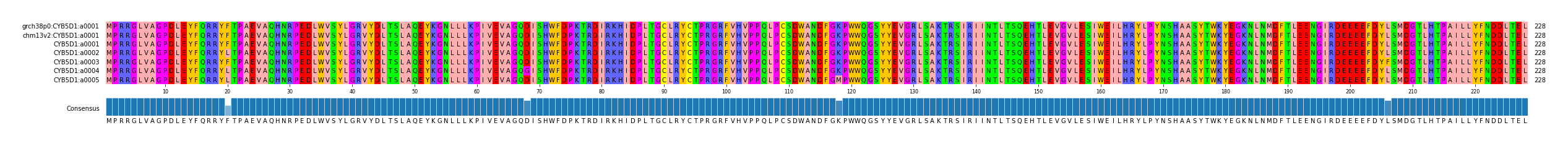 Multiple Alignments (by translate haplotype frequency)