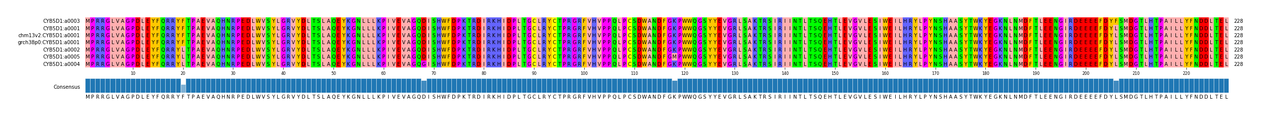 Multiple Alignments (by translate haplotype similarity)