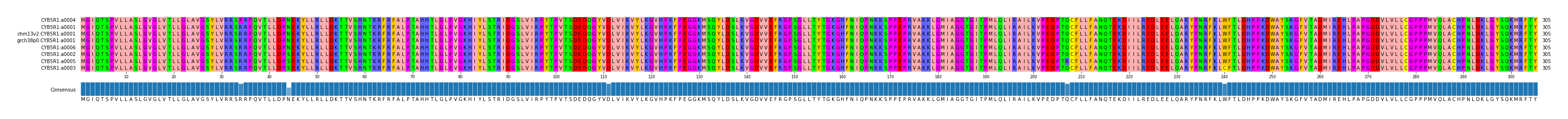 Multiple Alignments (by translate haplotype similarity)