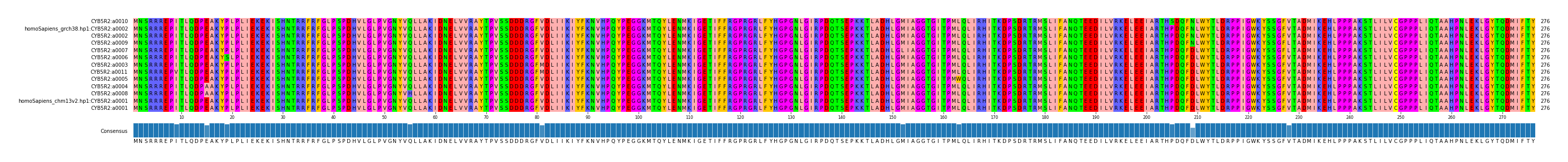 Multiple Alignments (by translate haplotype similarity)