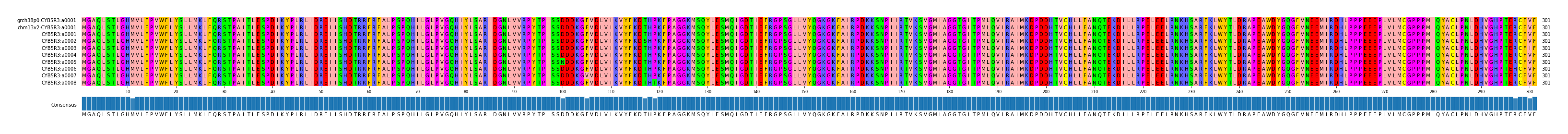 Multiple Alignments (by translate haplotype frequency)