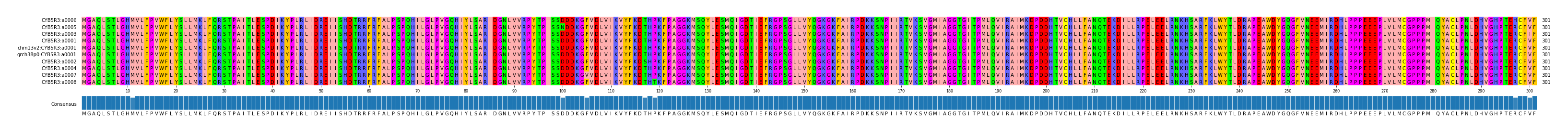 Multiple Alignments (by translate haplotype similarity)