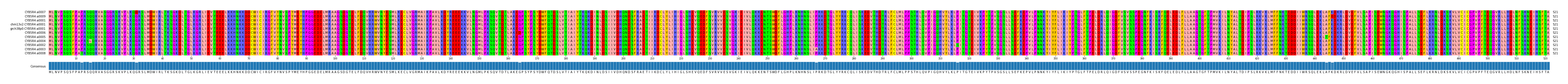 Multiple Alignments (by translate haplotype similarity)