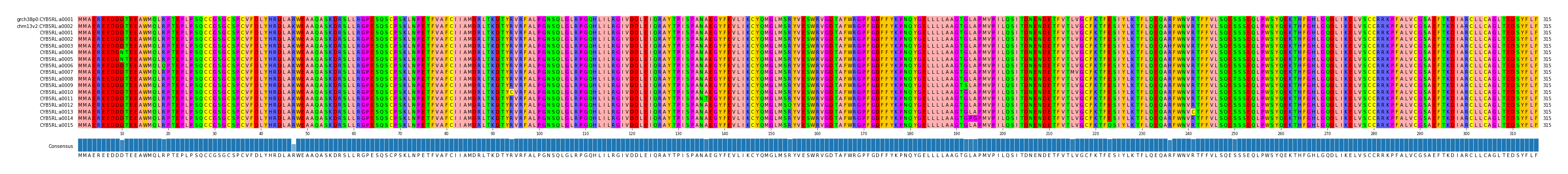 Multiple Alignments (by translate haplotype frequency)