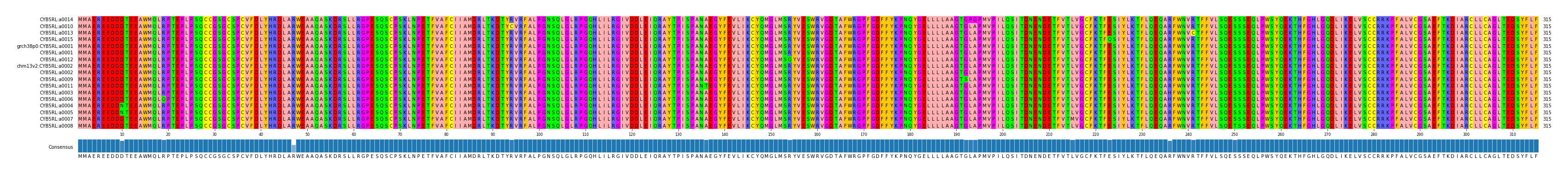 Multiple Alignments (by translate haplotype similarity)