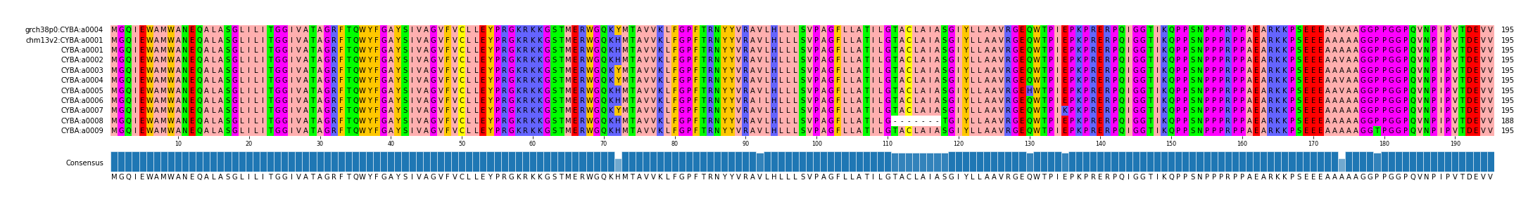 Multiple Alignments (by translate haplotype frequency)
