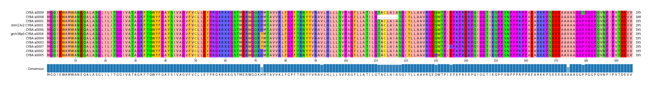 Multiple Alignments (by translate haplotype similarity)