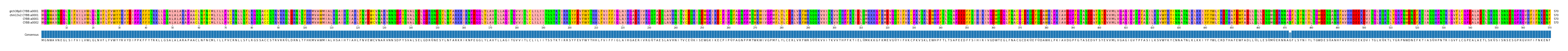 Multiple Alignments (by translate haplotype similarity)