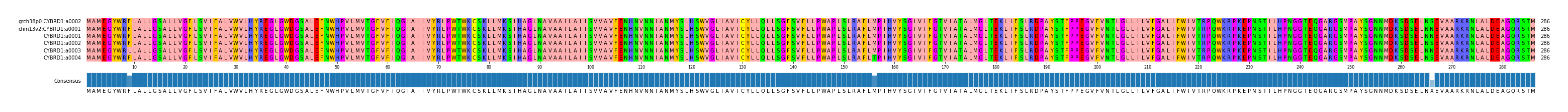 Multiple Alignments (by translate haplotype frequency)