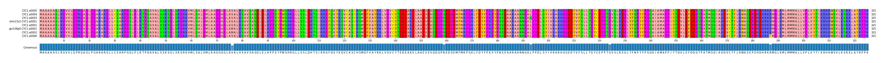 Multiple Alignments (by translate haplotype similarity)