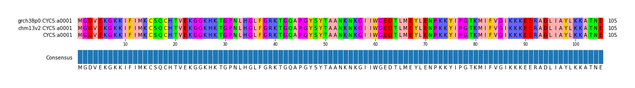 Multiple Alignments (by translate haplotype similarity)