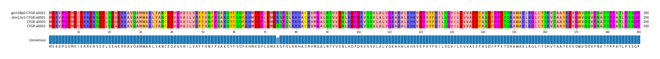 Multiple Alignments (by translate haplotype similarity)
