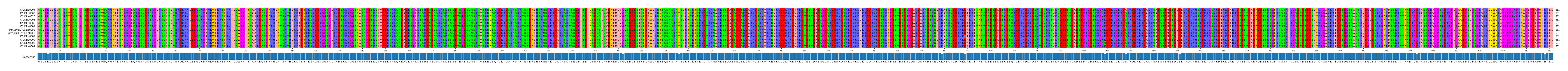 Multiple Alignments (by translate haplotype similarity)