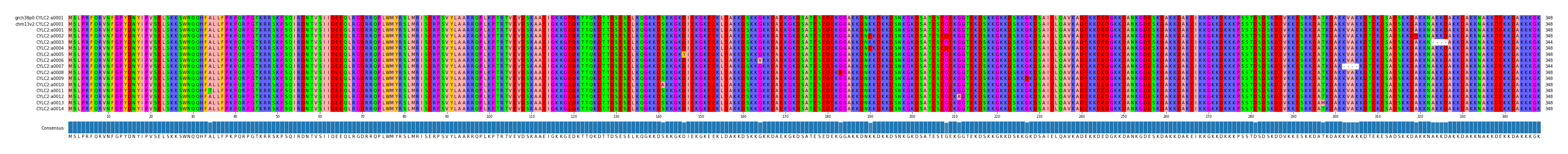 Multiple Alignments (by translate haplotype frequency)