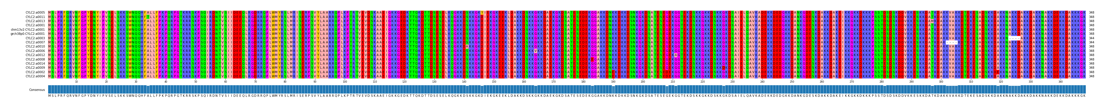 Multiple Alignments (by translate haplotype similarity)