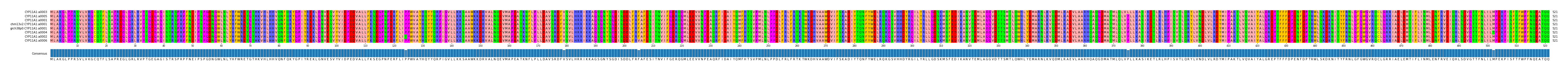 Multiple Alignments (by translate haplotype similarity)