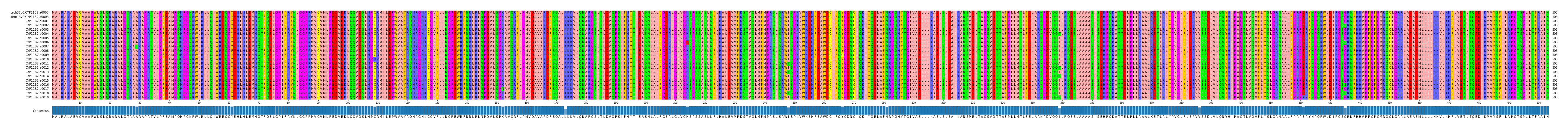 Multiple Alignments (by translate haplotype frequency)