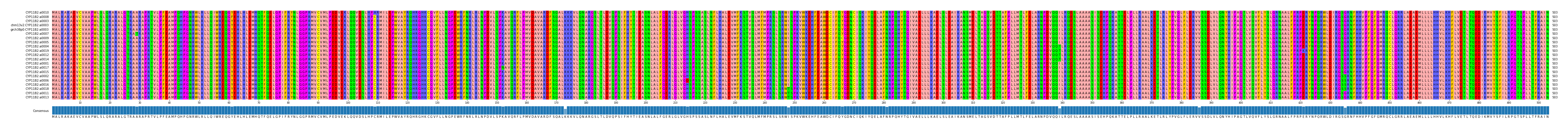 Multiple Alignments (by translate haplotype similarity)