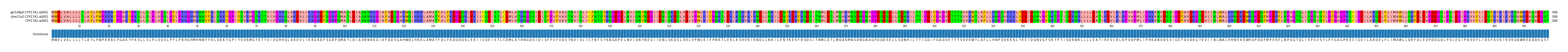 Multiple Alignments (by translate haplotype similarity)