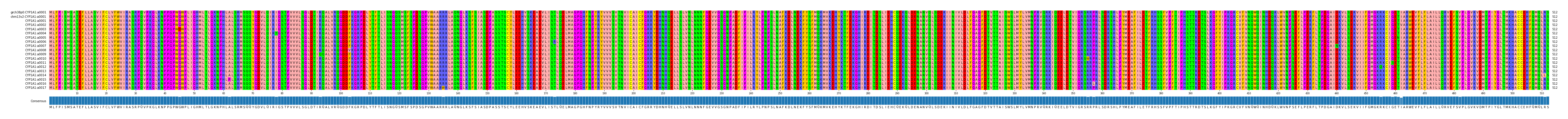 Multiple Alignments (by translate haplotype frequency)
