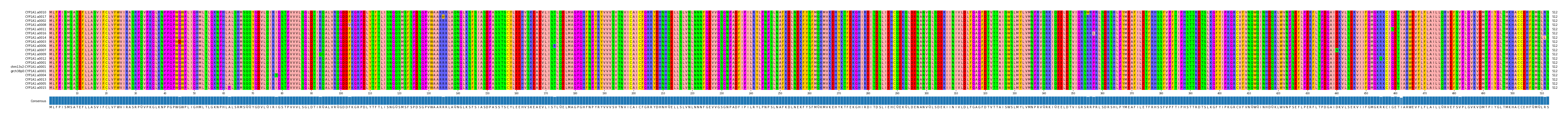 Multiple Alignments (by translate haplotype similarity)