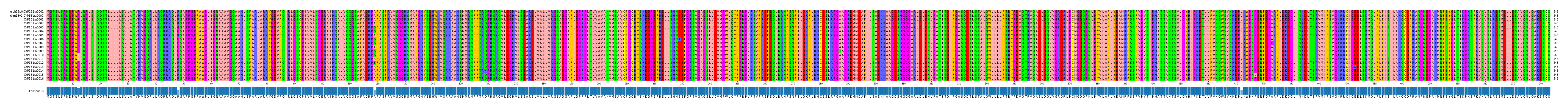 Multiple Alignments (by translate haplotype frequency)