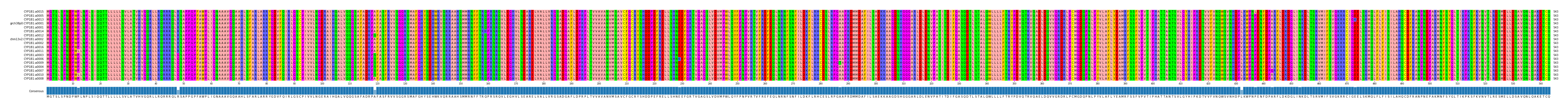Multiple Alignments (by translate haplotype similarity)