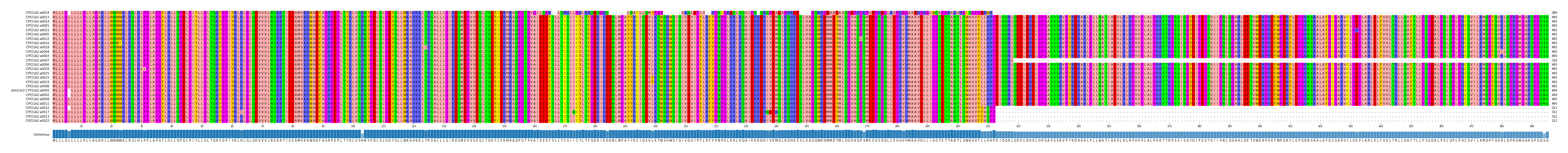 Multiple Alignments (by translate haplotype similarity)