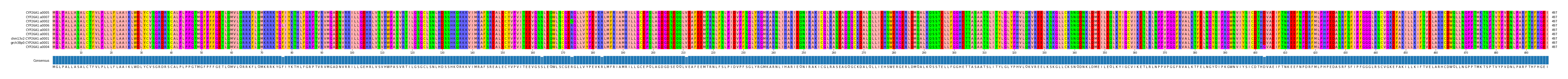 Multiple Alignments (by translate haplotype similarity)