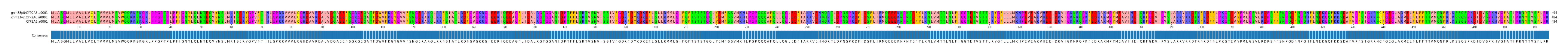 Multiple Alignments (by translate haplotype similarity)