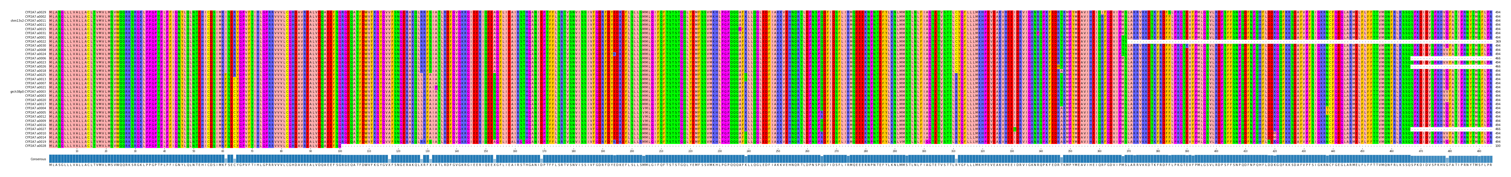 Multiple Alignments (by translate haplotype similarity)