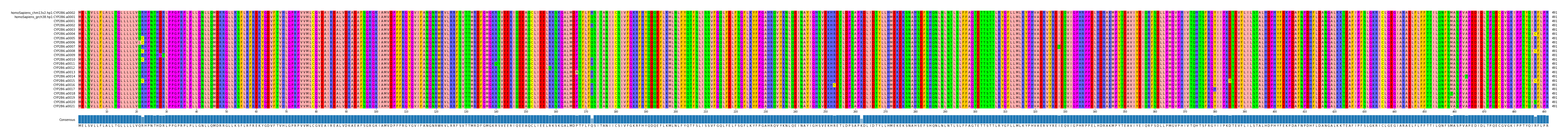 Multiple Alignments (by translate haplotype frequency)