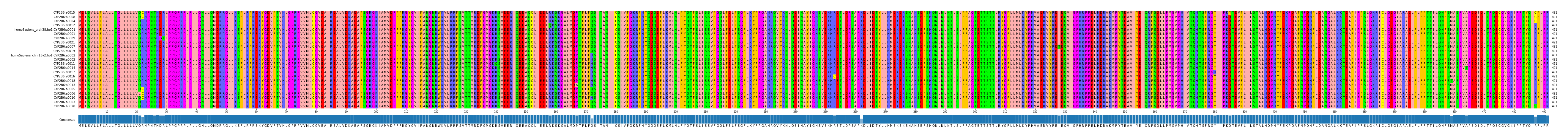 Multiple Alignments (by translate haplotype similarity)