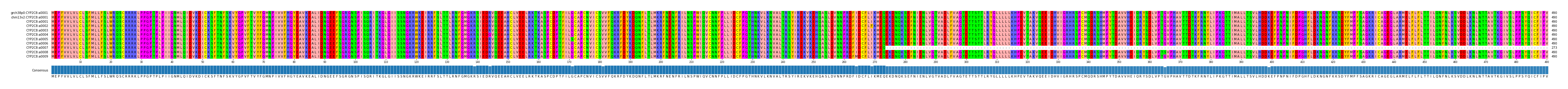 Multiple Alignments (by translate haplotype frequency)