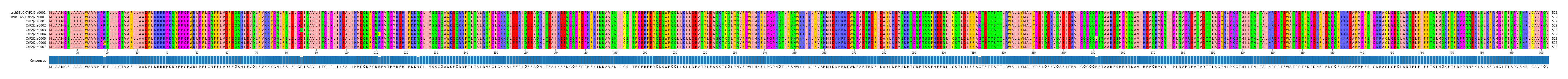 Multiple Alignments (by translate haplotype frequency)