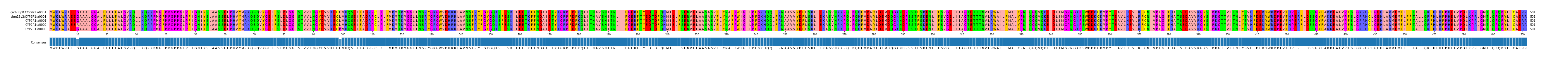 Multiple Alignments (by translate haplotype frequency)