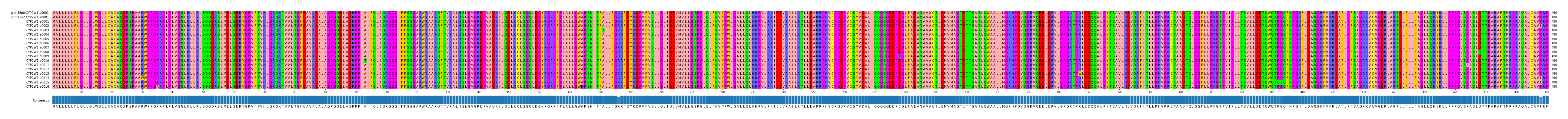 Multiple Alignments (by translate haplotype frequency)