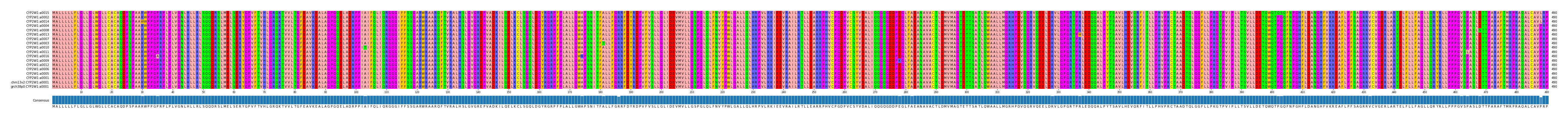 Multiple Alignments (by translate haplotype similarity)