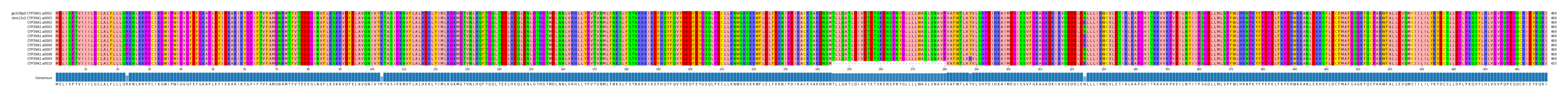 Multiple Alignments (by translate haplotype frequency)