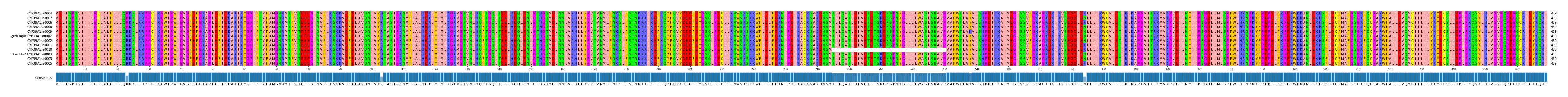 Multiple Alignments (by translate haplotype similarity)