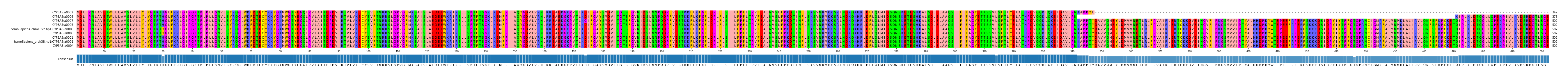 Multiple Alignments (by translate haplotype similarity)