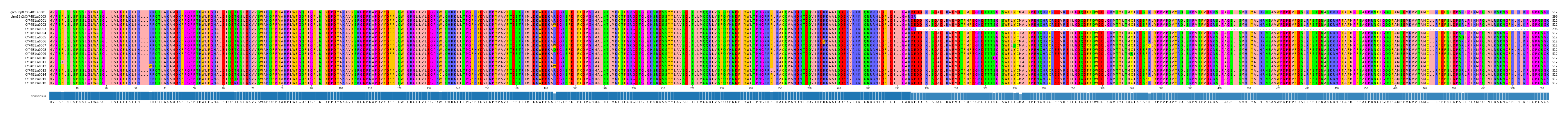 Multiple Alignments (by translate haplotype frequency)