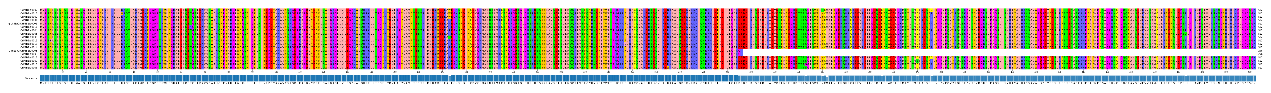 Multiple Alignments (by translate haplotype similarity)