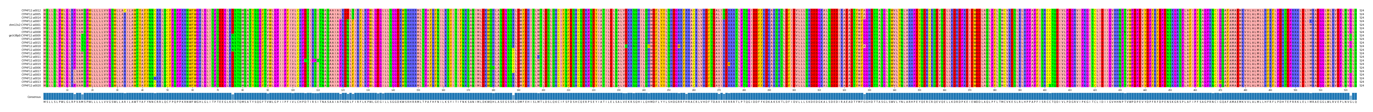 Multiple Alignments (by translate haplotype similarity)