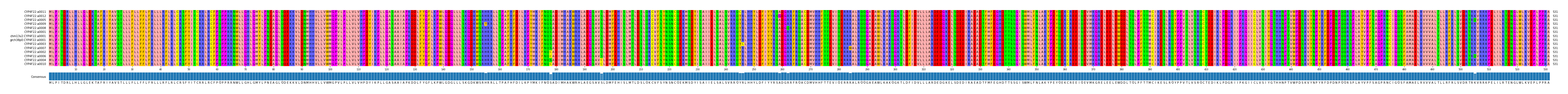 Multiple Alignments (by translate haplotype similarity)