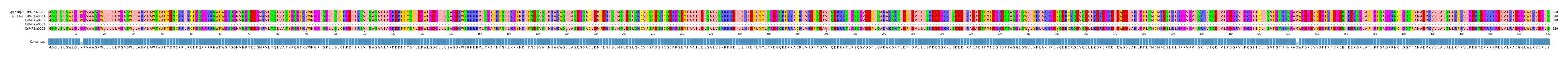 Multiple Alignments (by translate haplotype frequency)