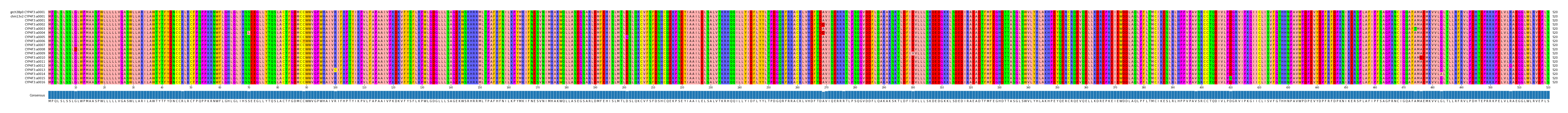 Multiple Alignments (by translate haplotype frequency)